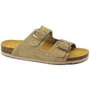 Slippers Plakton PLA-E26-180010-TA