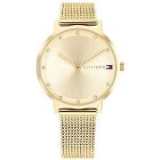 Horloge Tommy Hilfiger ty556270