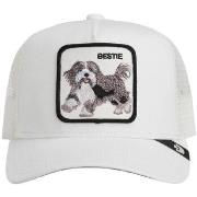 Pet Goorin Bros 201-0094 dust