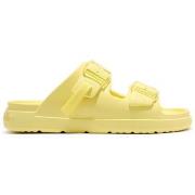 Slippers D.Franklin BASKETS DFSH413003