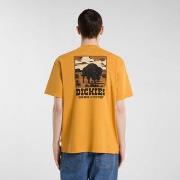 T-shirt Korte Mouw Dickies Darrtown ss tee