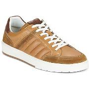 Lage Sneakers Bullboxer 7VD0010101