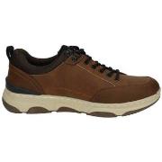 Lage Sneakers Refresh -