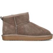 Enkellaarzen Poelman Bottines Lammy pour femme