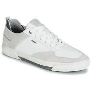 Lage Sneakers Geox KAVEN A