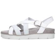 Sandalen IgI&amp;CO 1167433