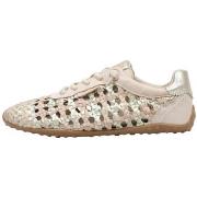 Lage Sneakers Carmela 163259