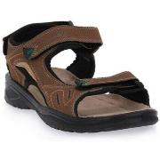 Sandalen Grisport 81501BROWN