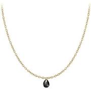 Collier Sc Crystal B2382-DORE-10003-NOIR