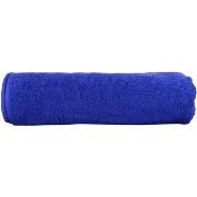 Serviettes et gants de toilette A&amp;r Towels RW6538