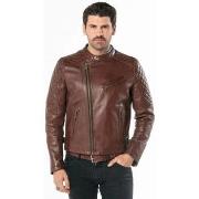 Veste Daytona TRUCKSTON COW VEG DARK COGNAC