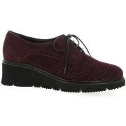 Derbies Mitica Derby cuir velours bdeaux