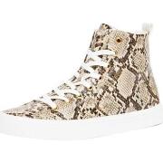 Baskets basses Guess Baskets Elga Femme Ref 55754 Python