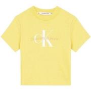 T-shirt Calvin Klein Jeans T Shirt Femme Ref 55692 Jaune
