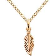 Collier Brillaxis Collier plume acier rose