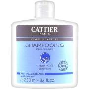 Shampooings Cattier Shampooing Antipelliculaire Bois de Saule 250Ml