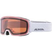 Accessoire sport Alpina -