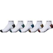 Chaussettes Globe Ingles ankle sock 5 pack
