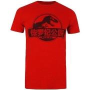 T-shirt Jurassic Park TV287