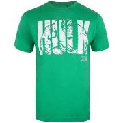 T-shirt Hulk TV856