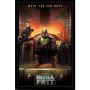 Affiches, posters Star Wars: The Book Of Boba Fett TA9313