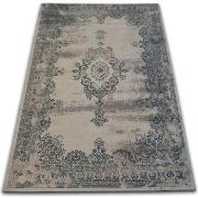 Tapis Rugsx Tapis Vintage Rosette 22206/085 gris 160x230 cm