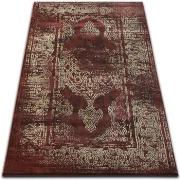 Tapis Rugsx Tapis DROP JASMINE 456 Rouillé/Beige foncé 200x290 cm