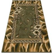 Tapis Rugsx BCF Rug Morad TRIO fleurs, feuilles classique 240x340 cm