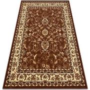 Tapis Rugsx BCF Tapis Morad KLASYK classique - marron 240x340 cm