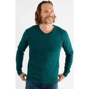 Pull Hollyghost Pull col V vert sapin en touch cashemere unicolore