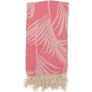 Serviettes de plage Fouta Futée AMAZON