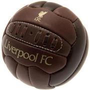 Accessoire sport Liverpool Fc TA3138