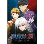 Affiches, posters Tokyo Ghoul TA6993