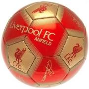 Ballons de sport Liverpool Fc TA4620