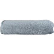 Serviettes et gants de toilette A&amp;r Towels RW6538