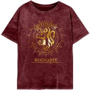T-shirt Harry Potter Gryffindor Constellation