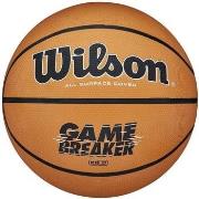 Ballons de sport Wilson Gamebreaker