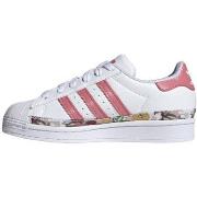 Baskets basses enfant adidas SUPERSTAR Junior