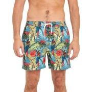 Short Pullin Short de bain PAKO RAINFOREST