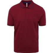 T-shirt Sun68 Polo Petites Rayures Bordeaux