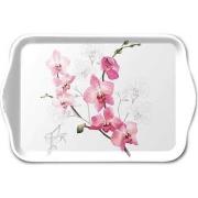 Vides poches Ambiente Mini plateau vide poche rectangulaire orchidée