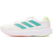 Chaussures adidas GY0562