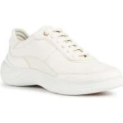 Baskets basses Geox fluctis sport shoes