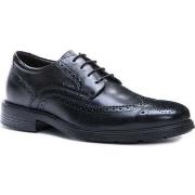 Baskets basses Geox dublin formal