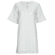 Robe courte Freeman T.Porter LOTISSE LACE