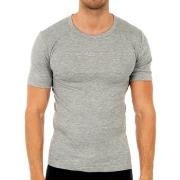 T-shirt Abanderado 0806-GRIS