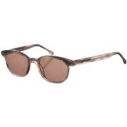 Lunettes de soleil Zen Z428-C08