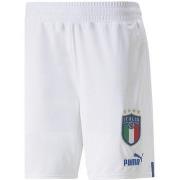 Short Puma 765668-08