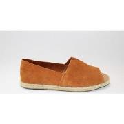 Espadrilles Toms Lady Abricots