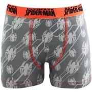 Boxers Marvel MARVEL Boxer Garçon Coton SPID05C Gris